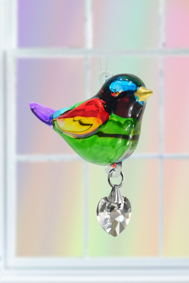 Pretty Little Bird - Rainbow