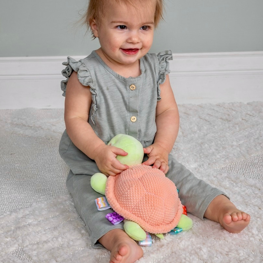 Taggies Tippy Turtle Soft Toy – 9"